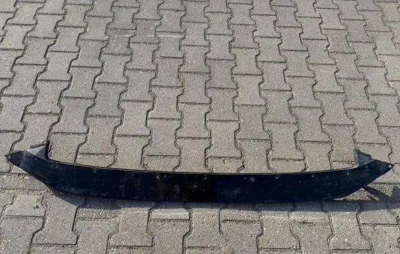Ford Mustang Mach-E Front sill (body part) LJ8B-R10155-AAW