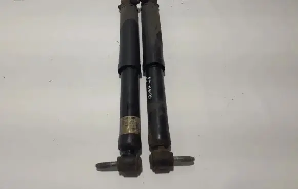 Nissan Qashqai Rear shock absorber/damper 562104EA2A