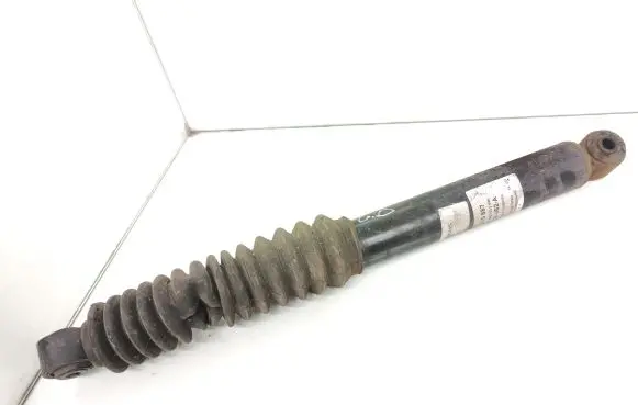 Chevrolet Captiva Rear shock absorber/damper 814903013546 004921014308