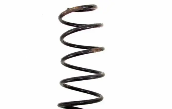 Front coil spring