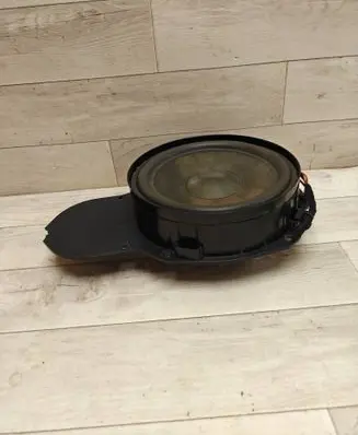 Volkswagen PASSAT B6 Front door speaker 
