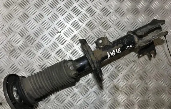 Opel Vectra C Front shock absorber/damper 13254161 82403002848