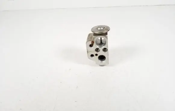 Porsche Cayenne (92A) Valve 7P0820679A