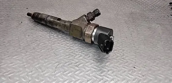 Renault Megane II Fuel injector 0445110110B 8200100272