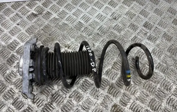 Skoda Enyaq iV Front coil spring 1EA412331B