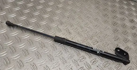 Tailgate/trunk strut/damper