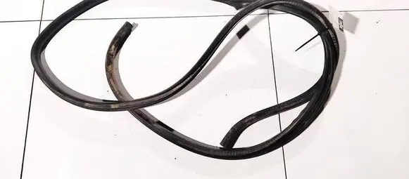 Nissan Murano Z50 Rubber seal front coupe door 