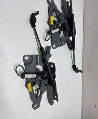 BMW 6 F12 F13 Engine bonnet/hood hinges 7249888 7249887