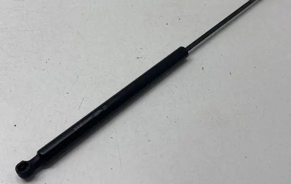 Tailgate/trunk strut/damper