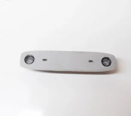Tesla Model 3 Front seat light 109257400C