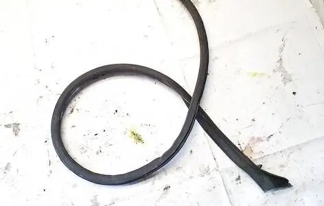 Renault Zoe Rubber seal front coupe door 