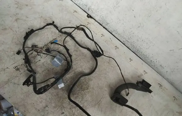 BMW X6 E71 Rear door wiring loom 720988403