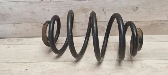 Volkswagen PASSAT B5.5 Rear coil spring