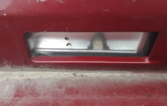 Number plate light