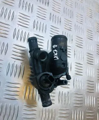 Thermostat/thermostat housing