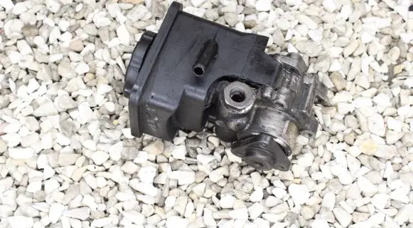 BMW 3 E46 Power steering pump 1095155