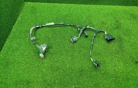 Other wiring loom