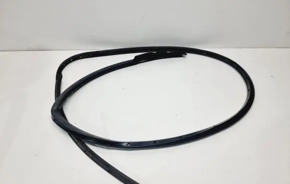 Renault Clio V Rubber seal front door (on door) 808311727R