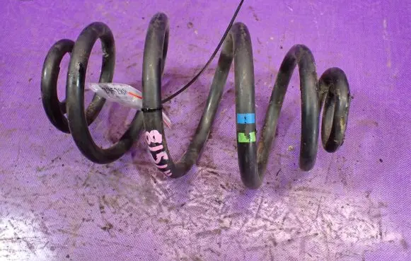 Volkswagen PASSAT B5.5 Rear coil spring