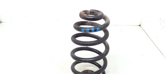 Audi A4 S4 B6 8E 8H Rear coil spring