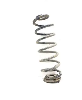 Skoda Octavia Mk2 (1Z) Rear coil spring