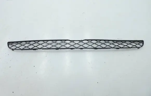 BMW X6 E71 Front bumper lower grill 7159597 105034