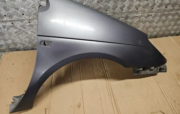 Renault Scenic I Fender