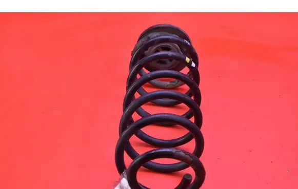 Volkswagen Golf Plus Rear coil spring 