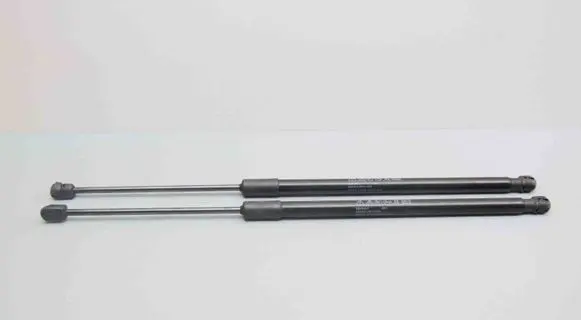 Tailgate/trunk strut/damper