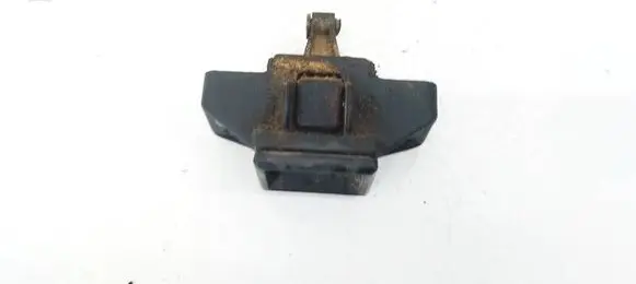 Renault Scenic I Rear door check strap stopper 