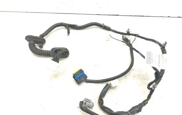 Front door wiring loom