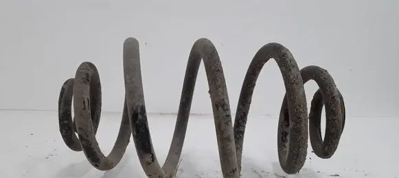 Volkswagen PASSAT B5.5 Rear coil spring