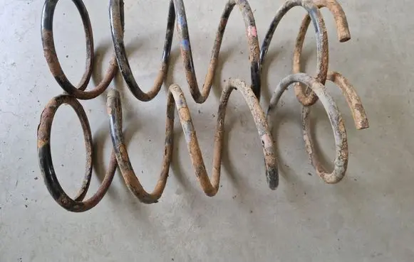 Rear coil spring