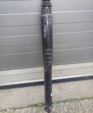 Renault Captur II Rear shock absorber/damper 562107338R