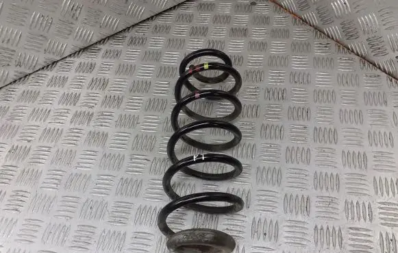 Citroen C4 I Rear coil spring