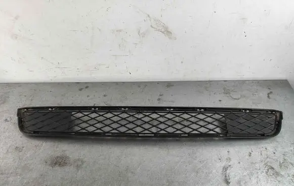 BMW X3 F25 Front bumper lower grill 51117210465 7210465