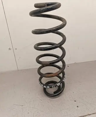 Rear coil spring