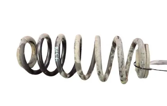 Rear coil spring