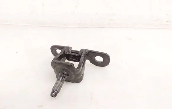 Ford Mustang Mach-E Tailgate/trunk/boot hinge