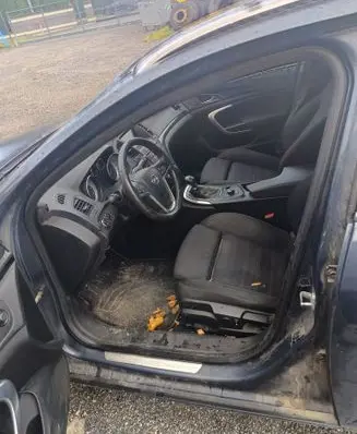 Opel Insignia A Front door rubber seal 