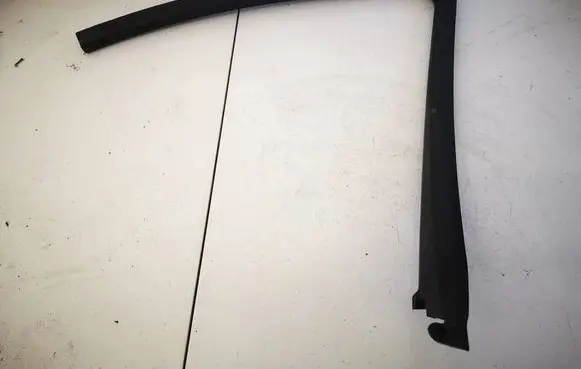 Renault Scenic II - Grand scenic II Front door glass trim molding 8200239279