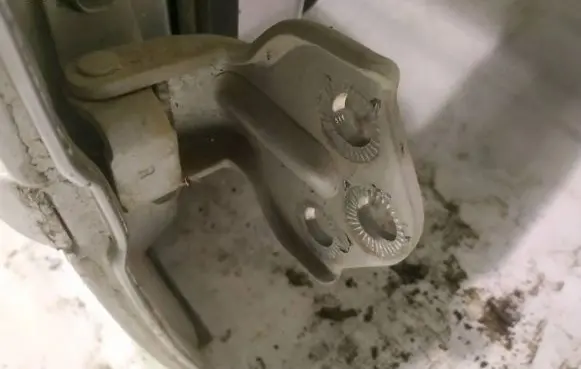Rear door lower hinge