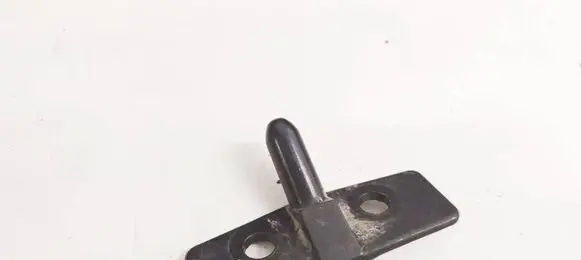 Peugeot Partner Rear door lower hinge 
