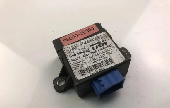 KIA Sorento Other control units/modules 956003E300