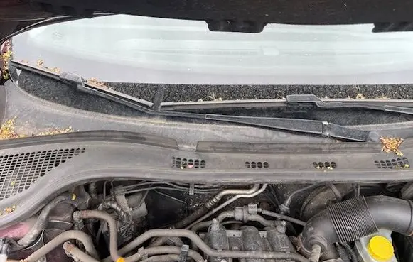 Skoda Rapid (NH) Front wiper blade arm 