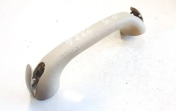 Chrysler Pacifica Rear interior roof grab handle