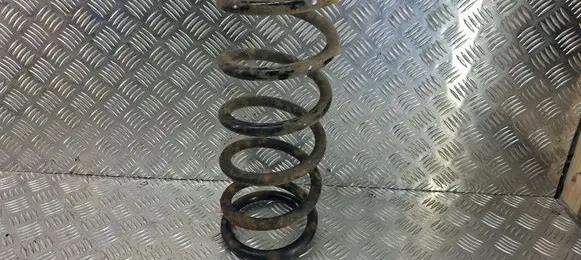 Rear coil spring