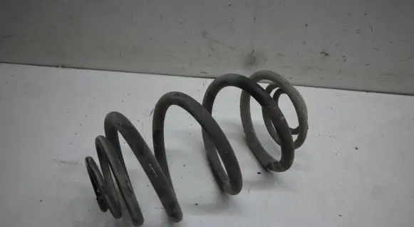 Rear coil spring