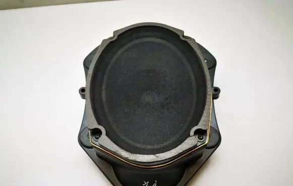 Chrysler 300 - 300C Front door speaker P05059067AC