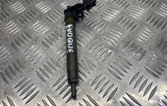 Land Rover Evoque I Fuel injector 9687454480
